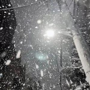 一级免費黄色片
