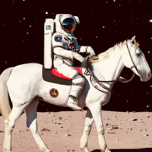 一级免費黄色片
